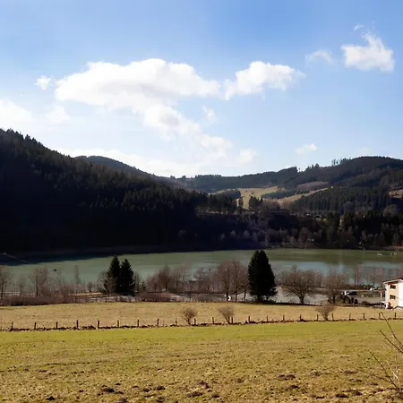 Ferienhaus Heidedorf Holiday home Winterberg